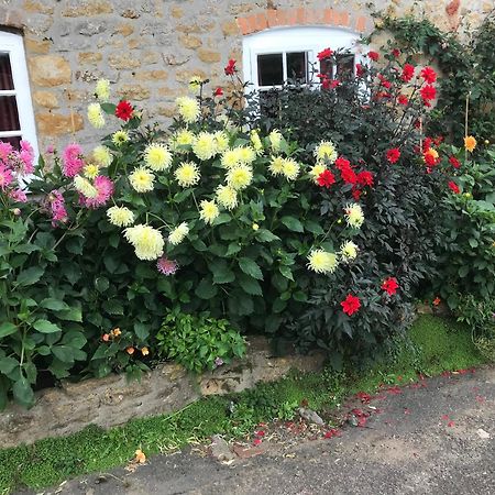 The Cottage Abbotsbury Buitenkant foto