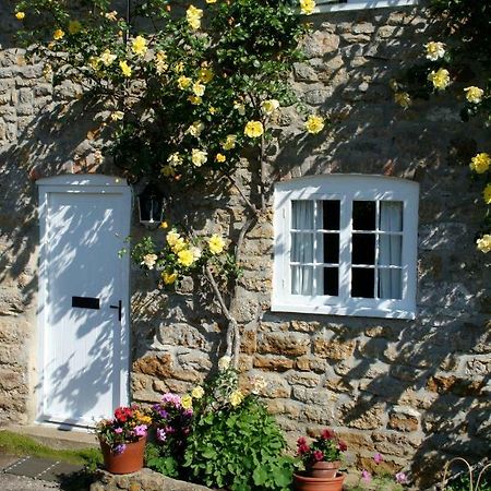 The Cottage Abbotsbury Buitenkant foto