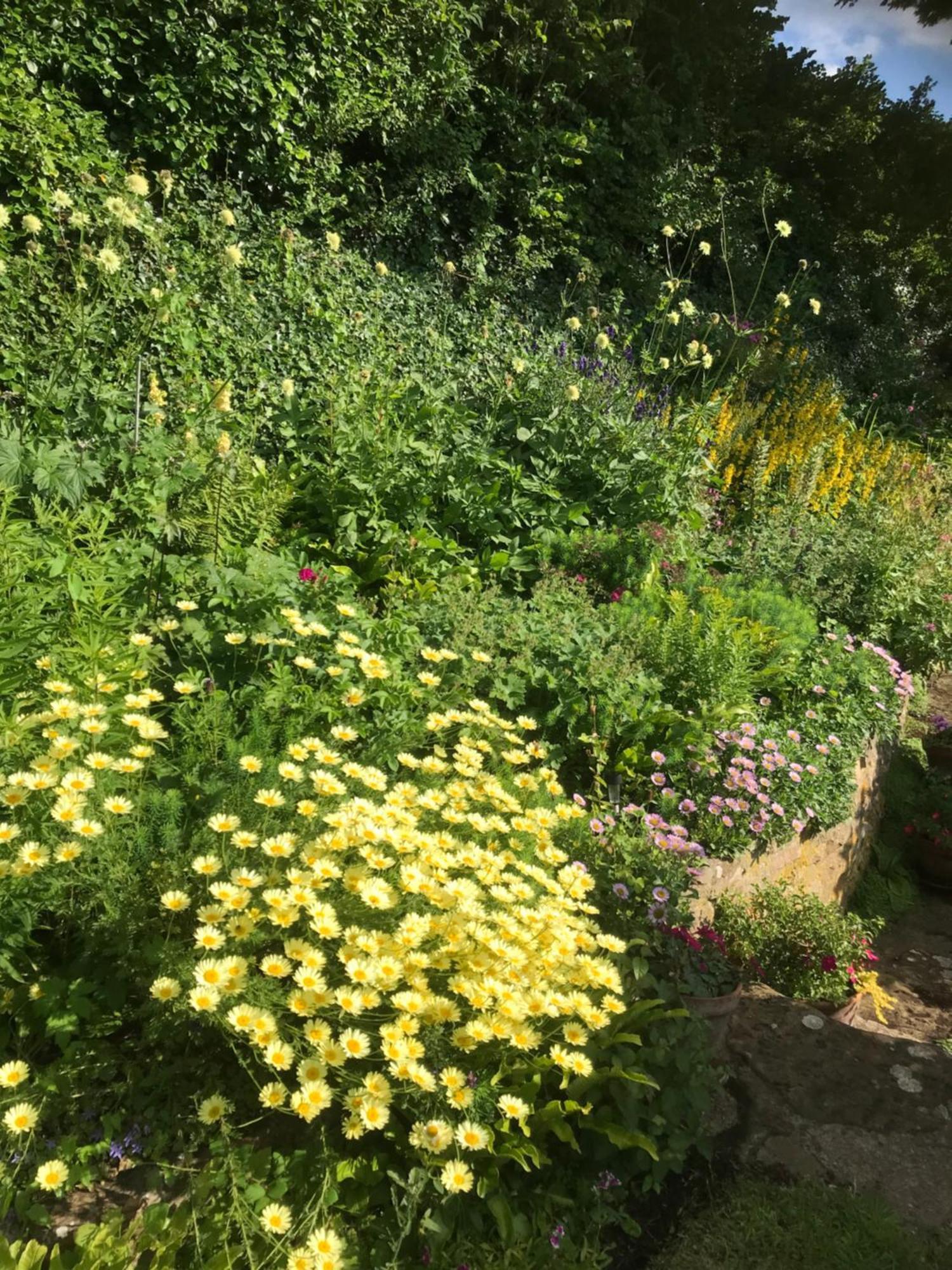 The Cottage Abbotsbury Buitenkant foto
