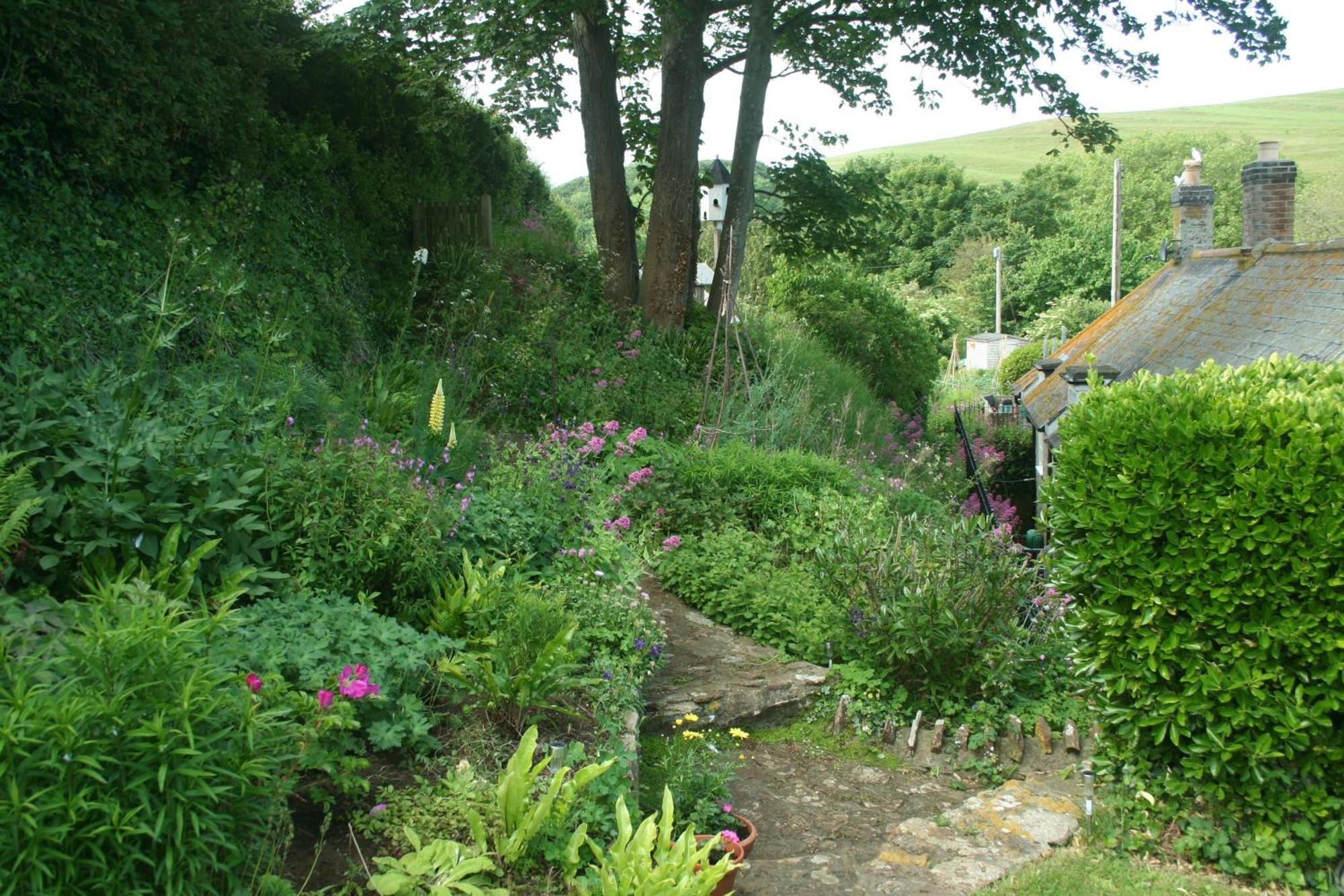 The Cottage Abbotsbury Buitenkant foto