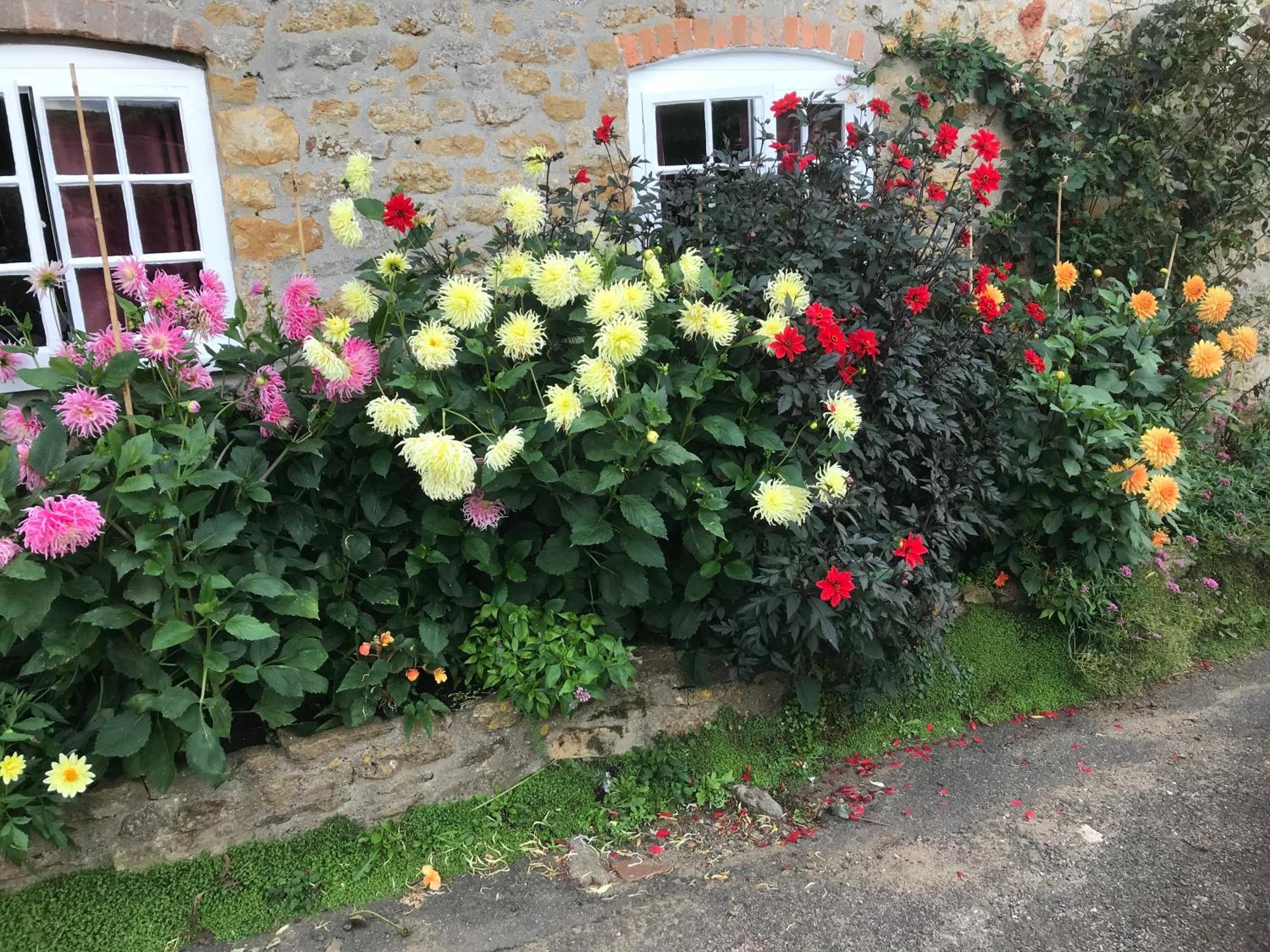 The Cottage Abbotsbury Buitenkant foto