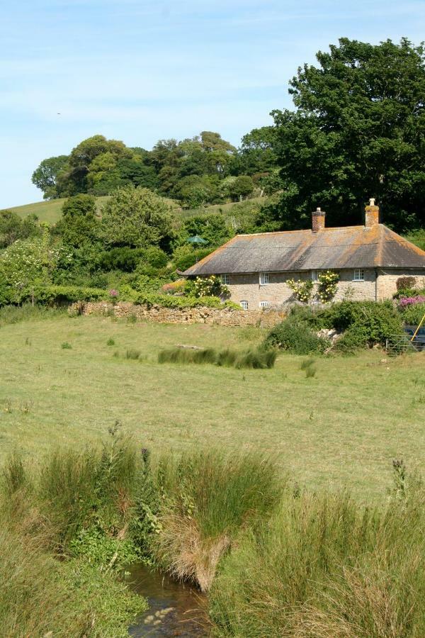 The Cottage Abbotsbury Buitenkant foto