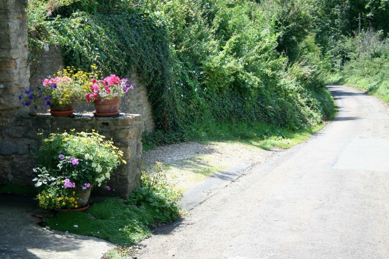 The Cottage Abbotsbury Buitenkant foto