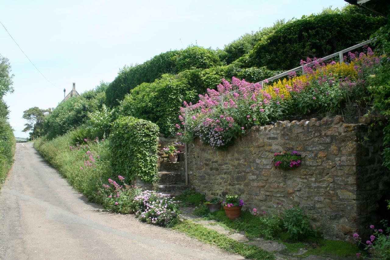 The Cottage Abbotsbury Buitenkant foto